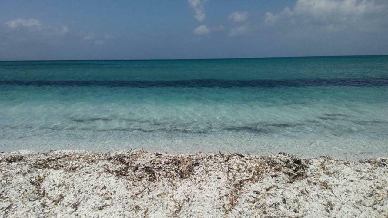 Roccabianca Rooms & Studios Stintino Εξωτερικό φωτογραφία