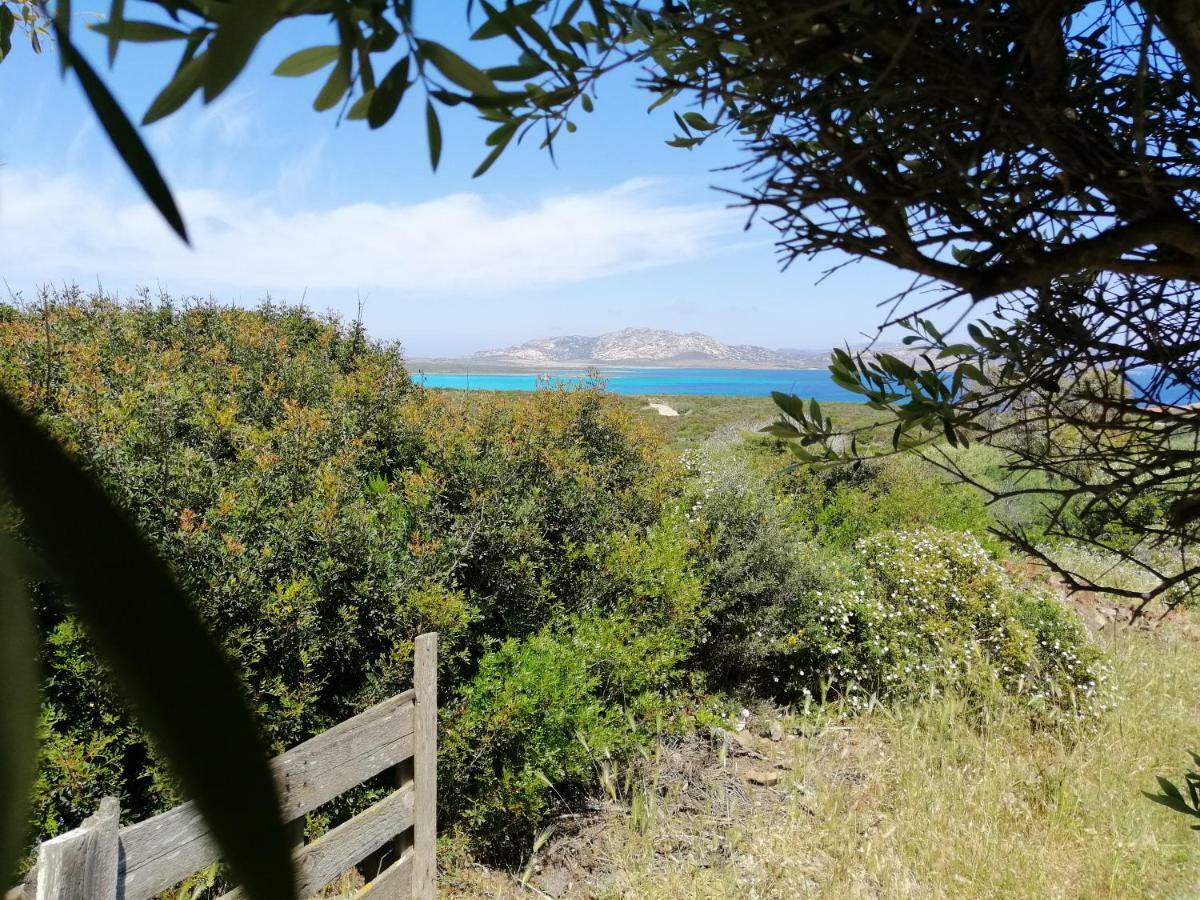 Roccabianca Rooms & Studios Stintino Εξωτερικό φωτογραφία